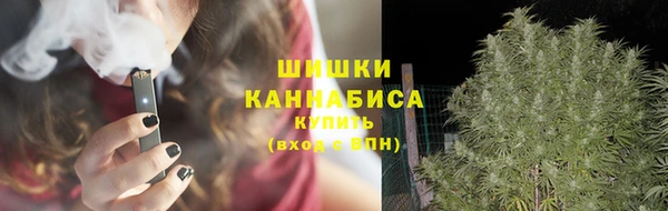 МДПВ Мегион