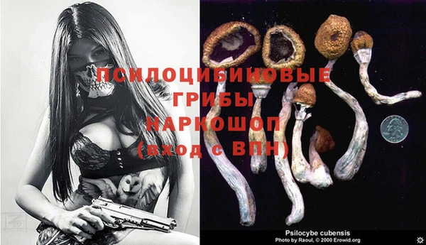 альфа пвп Медногорск