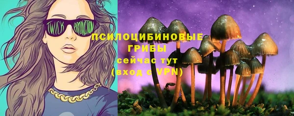 альфа пвп Медногорск