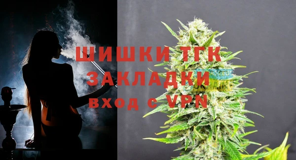 МДПВ Мегион
