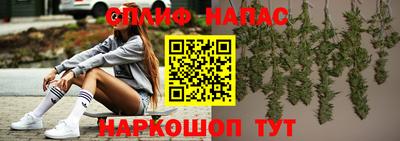 шишки Заводоуковск