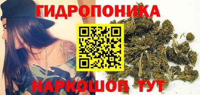 шишки Заводоуковск