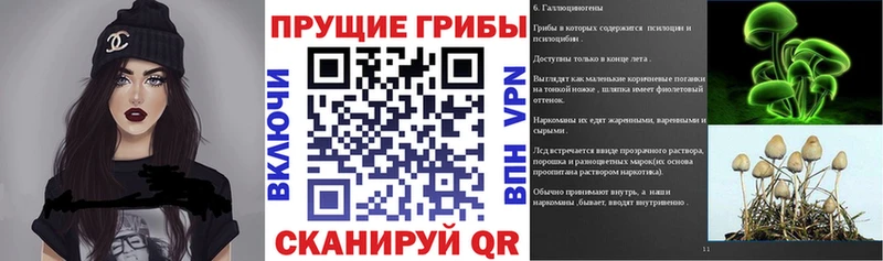 ОМГ ОМГ tor  Электросталь  Псилоцибиновые грибы GOLDEN TEACHER 