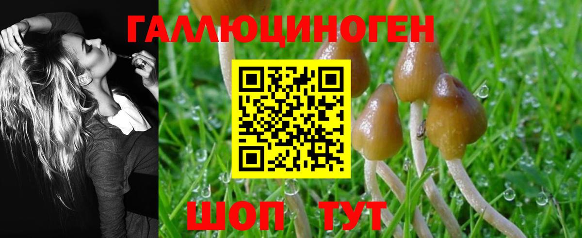 Электросталь  Псилоцибиновые грибы GOLDEN TEACHER  Галлюциногенные грибы мухоморы  цены   Вход с VPN 