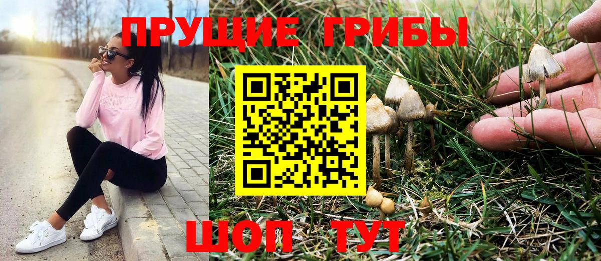 Галлюциногенные грибы мухоморы Электросталь