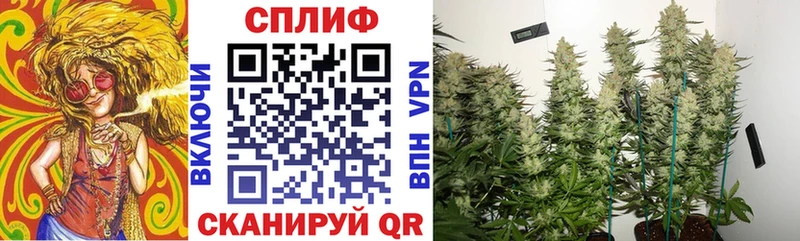 Бошки Шишки конопля  Электросталь 